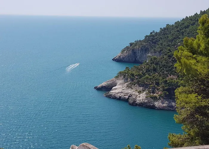 Casa de hóspedes Cala Della Pergola *